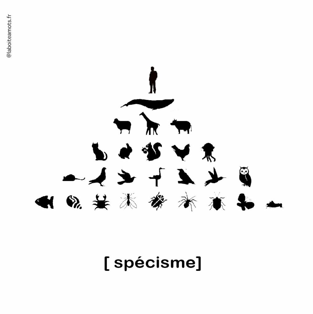 Illustration expliquant le spécisme, une discrimination fondée sur l'appartenance à une espèce, et montrant les différences de traitement entre les humains et les autres animaux.